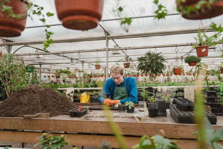 AHC40422 Certificate IV in Horticulture